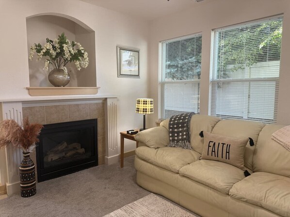 Smart TV, fireplace, books