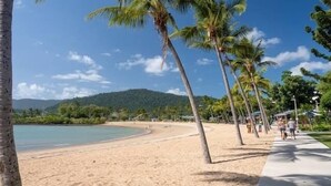 A beach with palm trees, a sandy shore, and a clear blue sky. - Cannonvale Ground Floor Apartment - 2 bed - Sleeps 4 - Swimming Pool (Cannonvale)