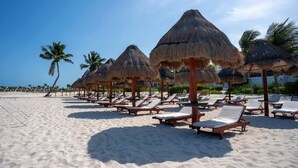 A beach with rows of sun loungers and thatched umbrellas, palm trees, and a clear sky. - Exclusive Condo | 3BR | Beachfront & Top Amenities (Cancún)