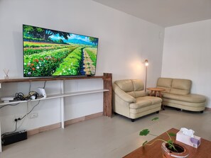 TV