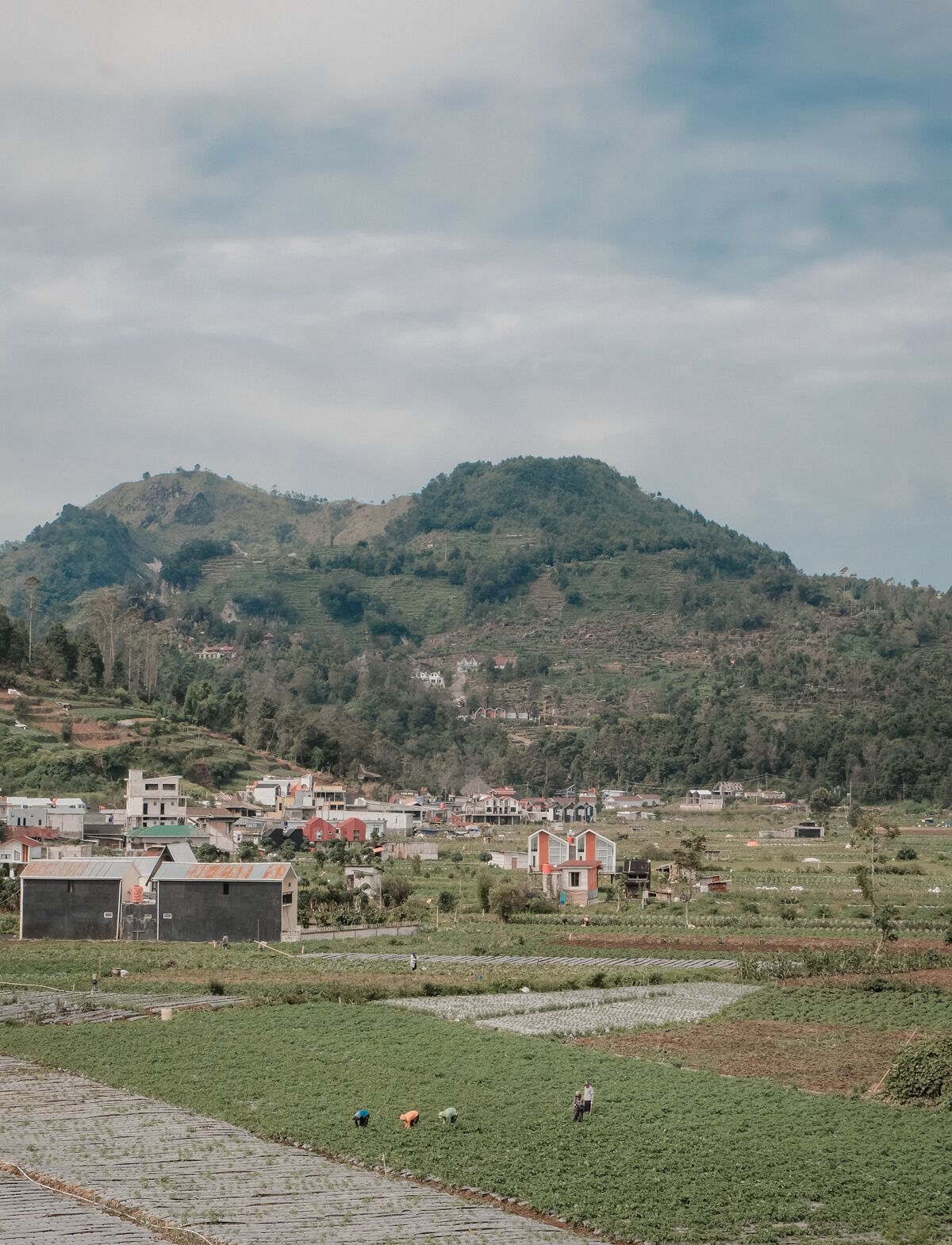 A rural landscape with a hill in the background, agricultural fields, and scattered buildings.