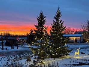 Paisagem coberta de neve com um pinheiro de Natal decorado com luzes, um pequeno edifício e uma decoração de luz em formato de veado.