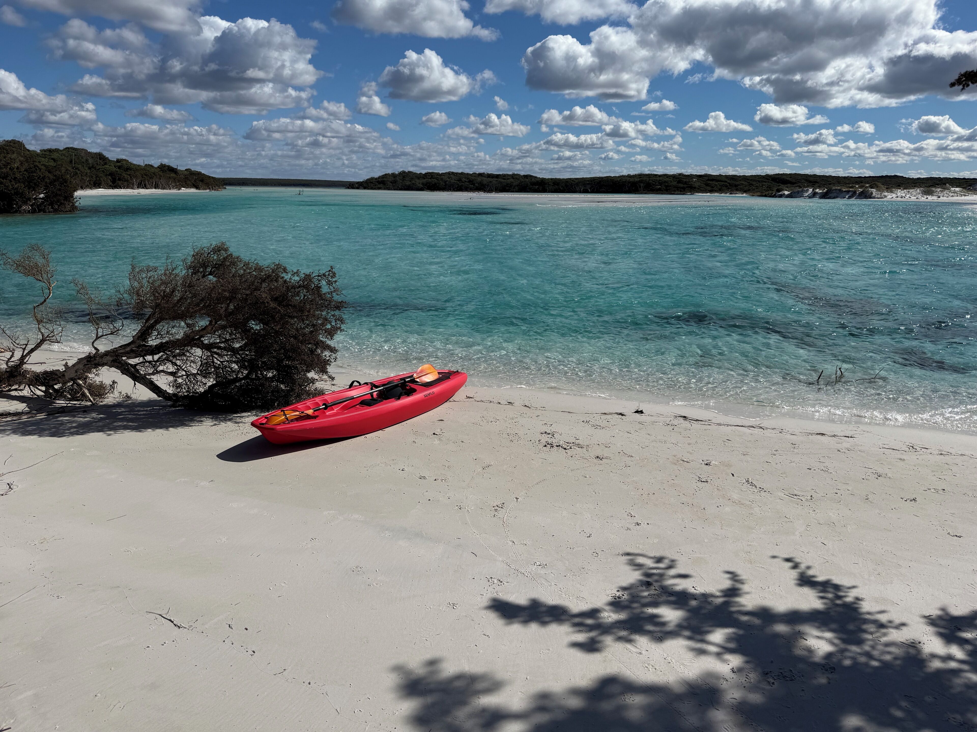 A clear beach with a red kayak on the sand, a tree in the foreground, and a calm sea under a partly cloudy sky.