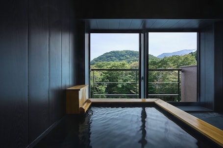 经济双人房 | 浴室 | 独立的浴缸和淋浴、吹风机、毛巾、肥皂. 箱根云雀乃