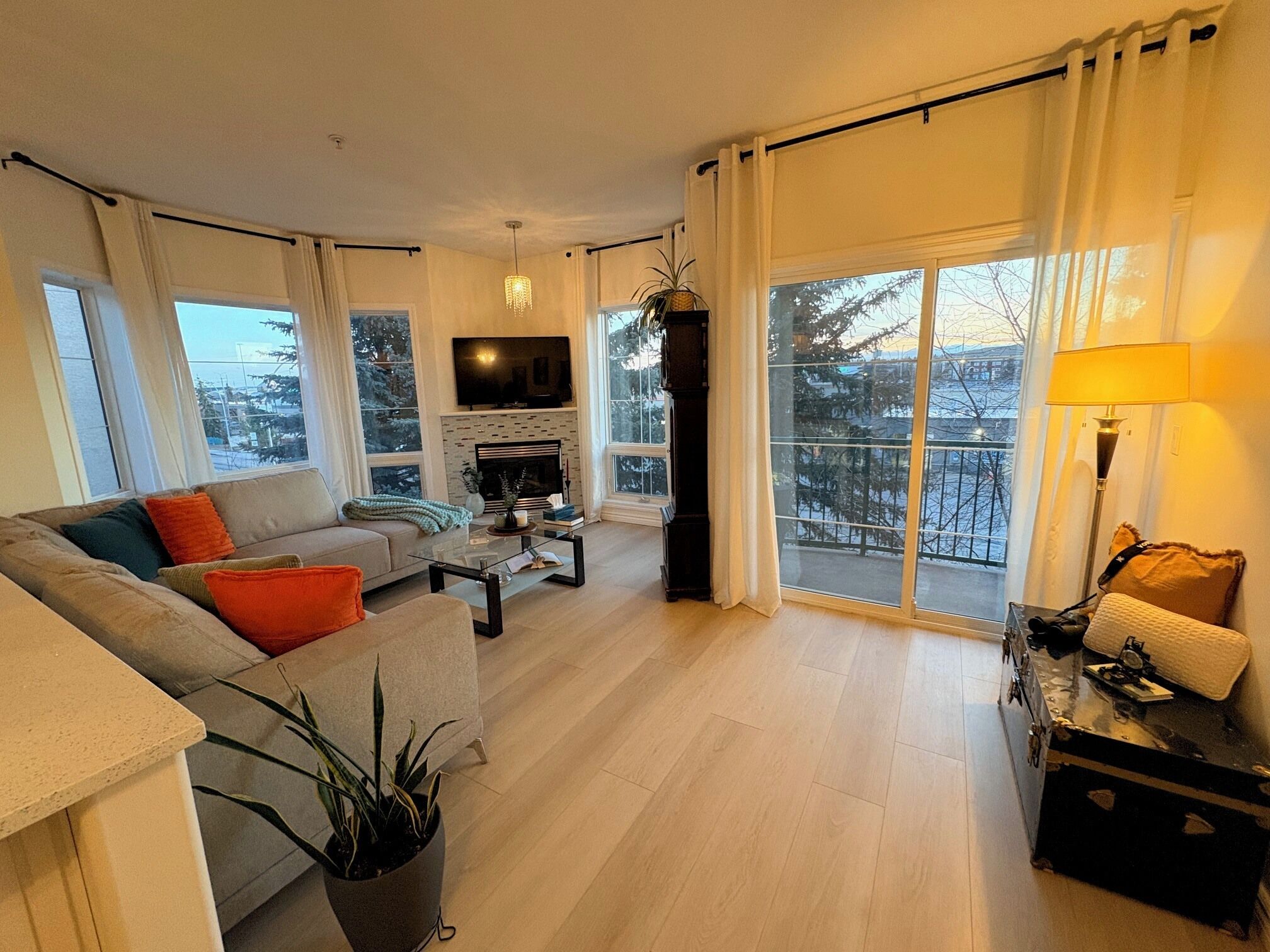 Smart TV, fireplace, books, computer monitors