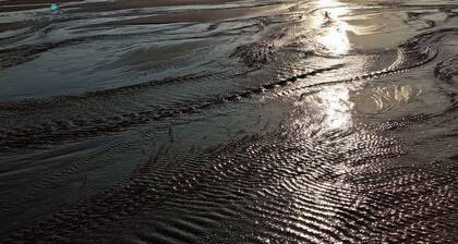 Soak in amazing views @ EbbandFlow