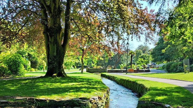 A stone pathway leading to a small water feature with a tree on the left. - Soak in amazing views @ EbbandFlow (Newquay)
