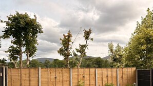 Une clôture en bois avec un portail en métal, une pelouse verdoyante et des arbres en arrière-plan.