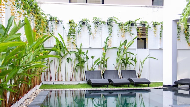 Un área junto a la piscina con sillones de descanso, una piscina y una pared cubierta de plantas trepadoras.