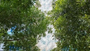 Une façade d’immeuble ornée d’un panneau décoratif représentant un motif de feuilles.