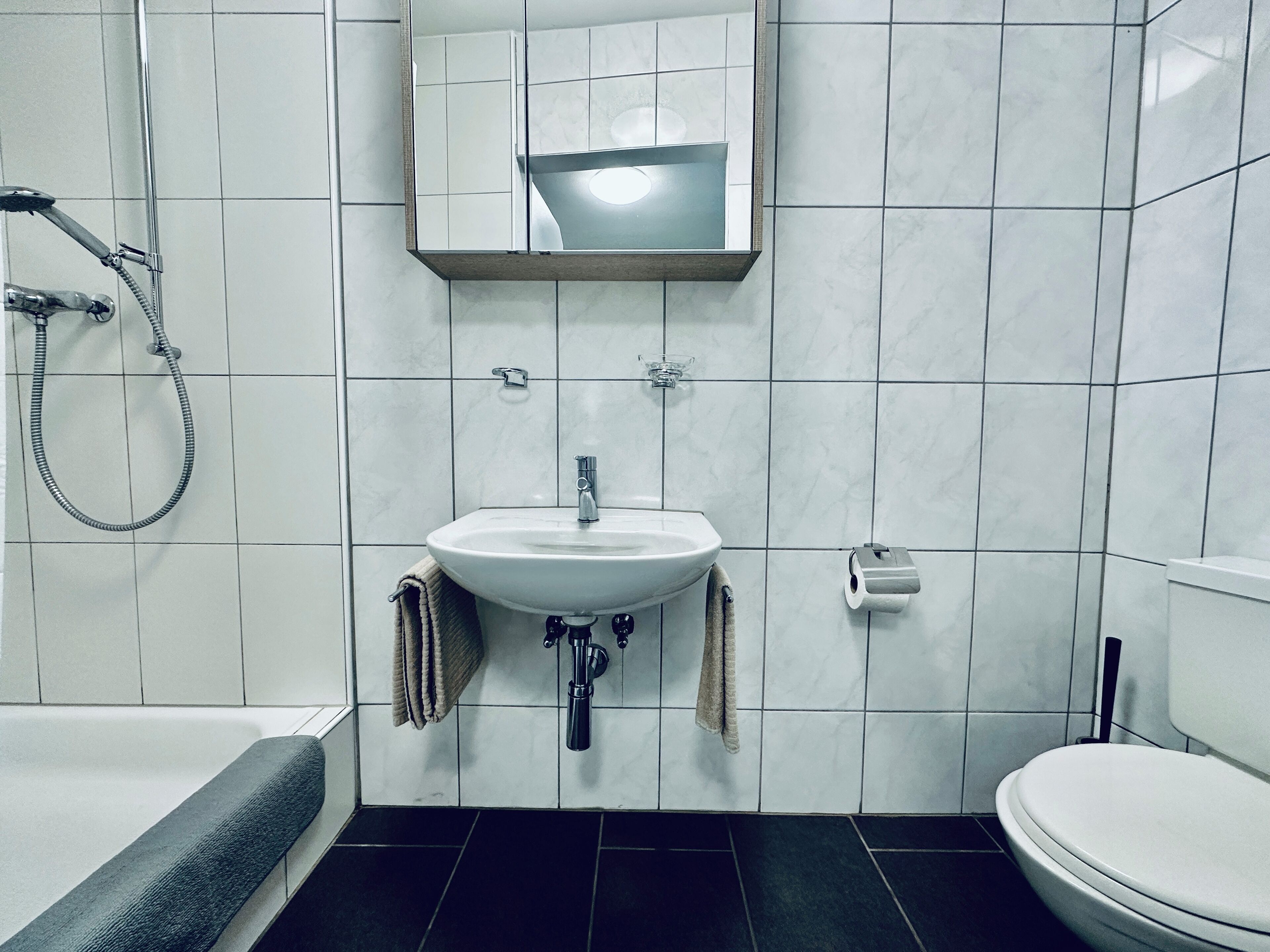 Une salle de bain avec un lavabo blanc, un miroir et des toilettes. On y trouve un porte-serviettes avec des serviettes, une pomme de douche et un porte-rouleau de papier toilette.