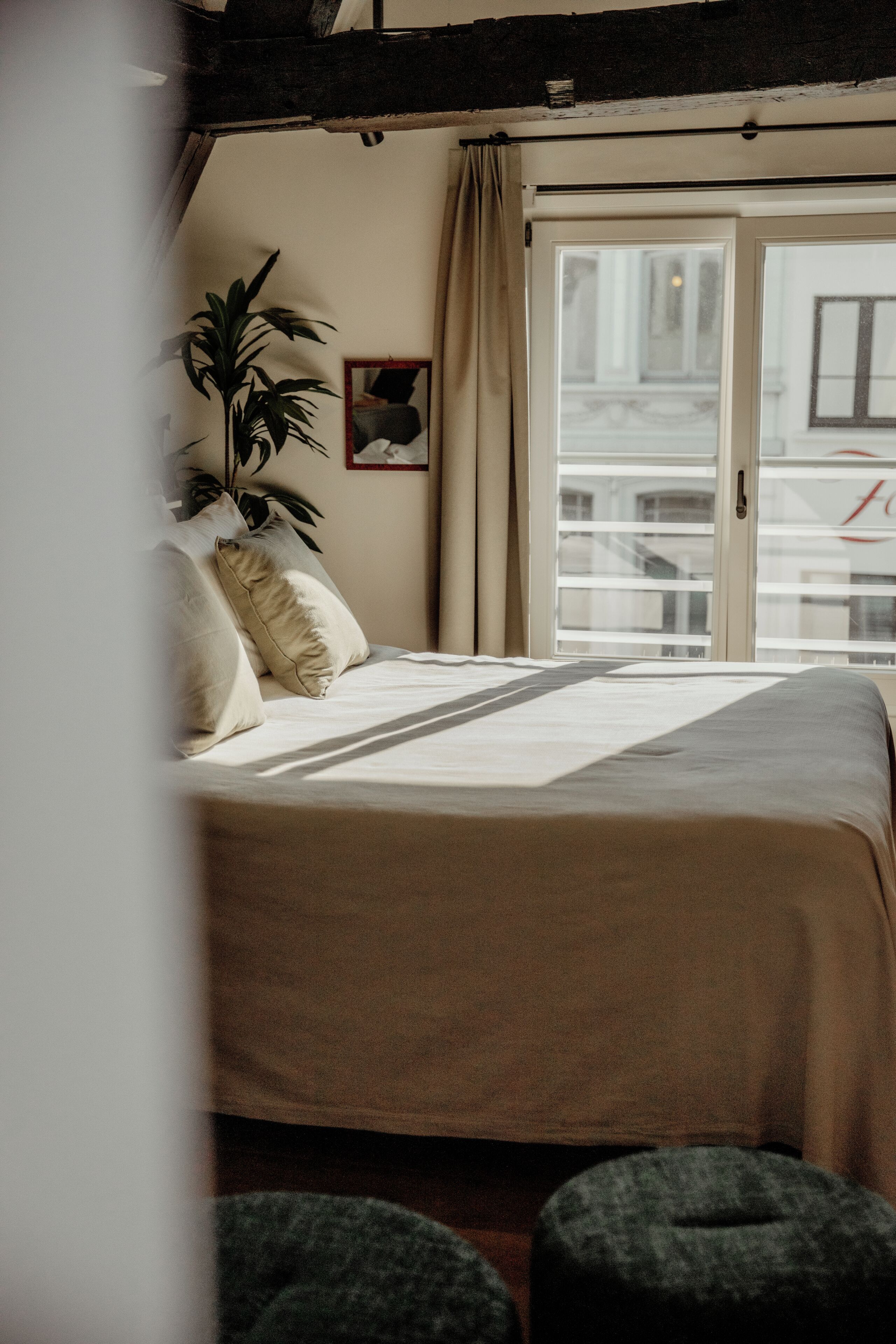 Une chambre à coucher avec un lit, une plante en pot et une fenêtre avec des rideaux.