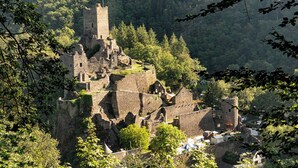 Un castello storico in pietra con numerose torri e mura, circondato da una fitta foresta.
