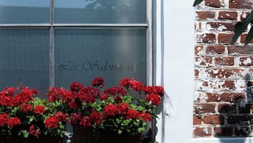 A window with a reflection of a tree and a brick wall with a sign reading "Les Salonniers".