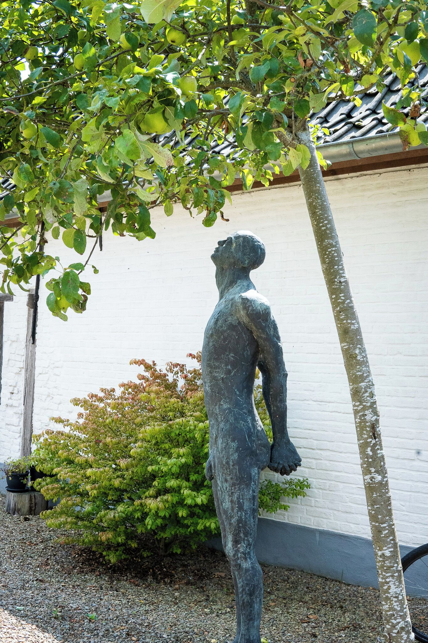 Una estatua de una persona de pie bajo un árbol frente a un edificio con pared blanca y techo de tejas.