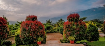 Golden Hill Resort