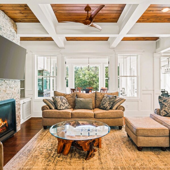 TV, fireplace, video games, books