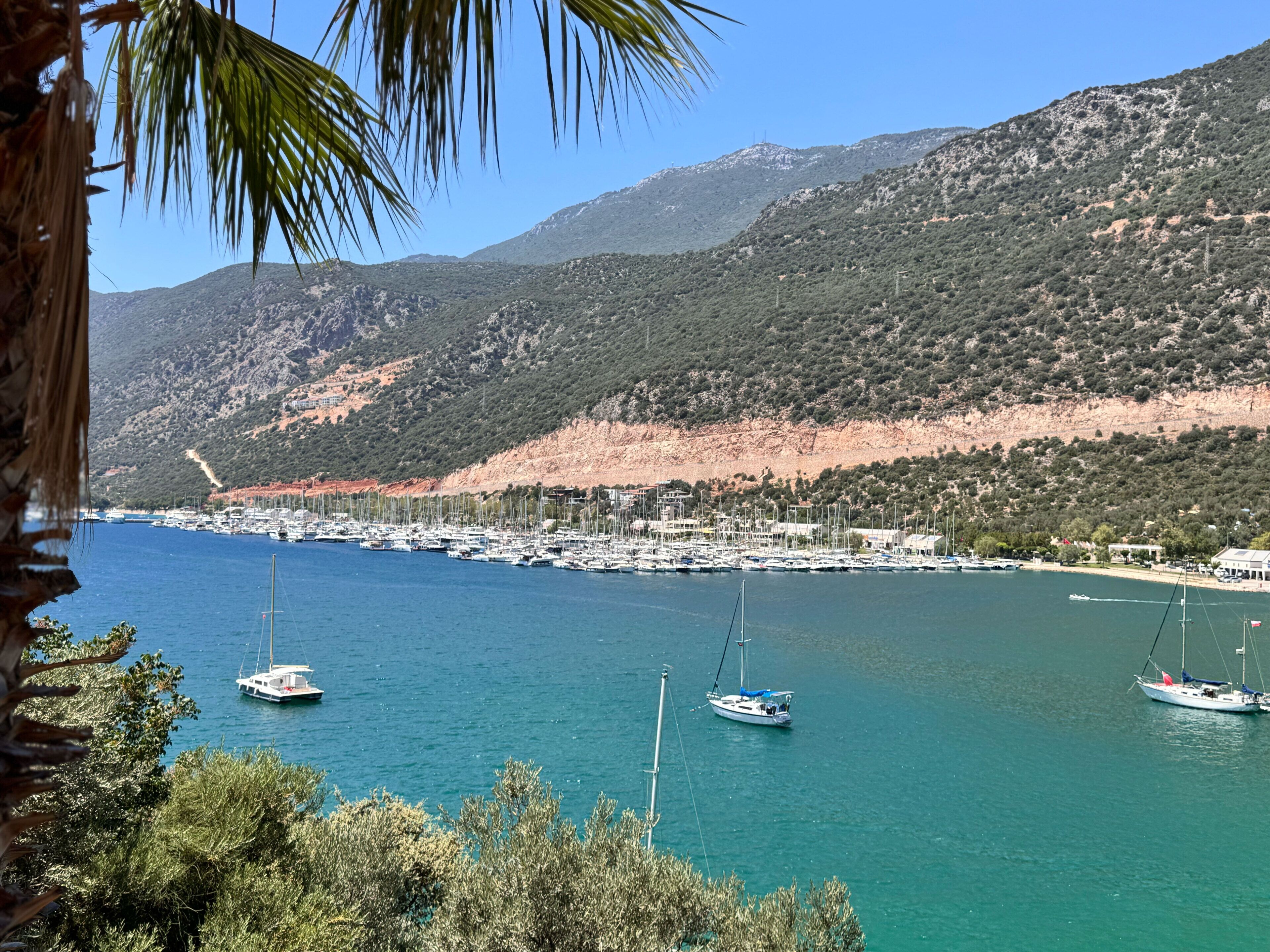 Vista desde la propiedad
