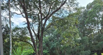 Tiny home in the rainforest. Relax with the Wallabies and abundant birdlife,