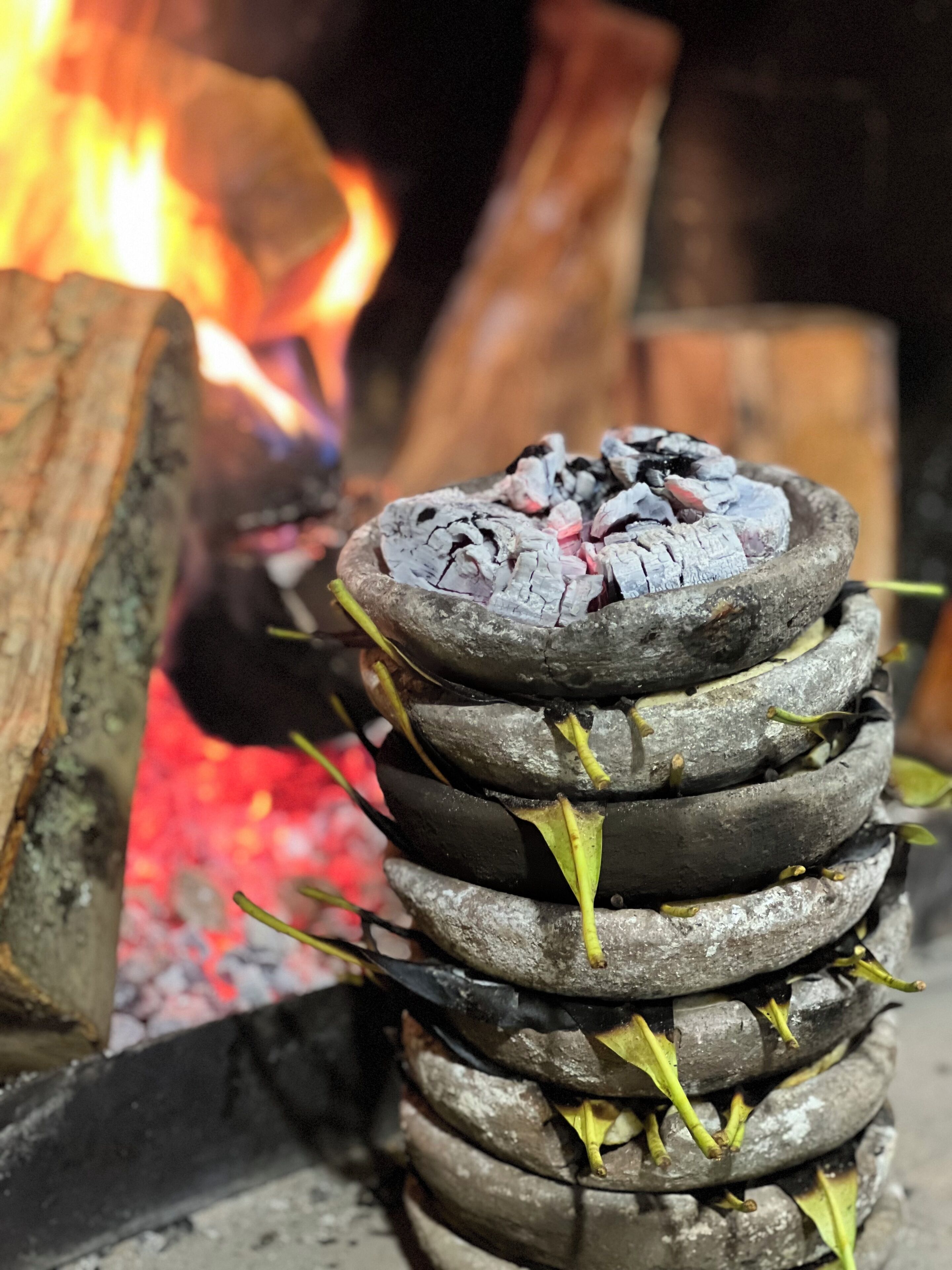 Un montón de carbón con hojas verdes en una chimenea.