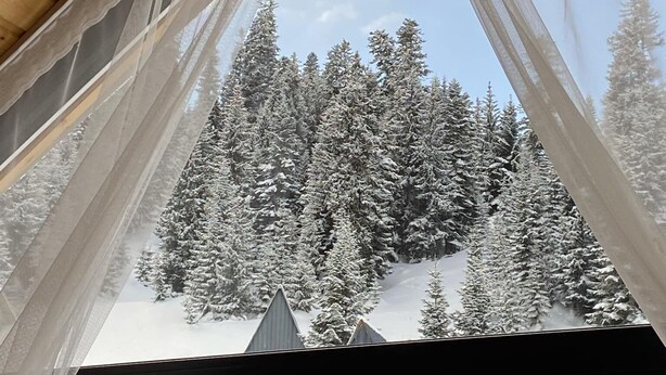 A triangular window with sheer curtains, revealing a snowy forest landscape. - Cloudnestbakhmaro (Bakhmaro)