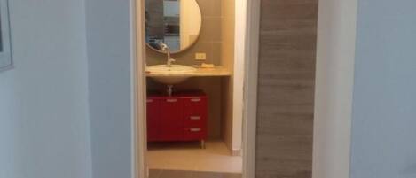 Shower, hair dryer, bidet, towels