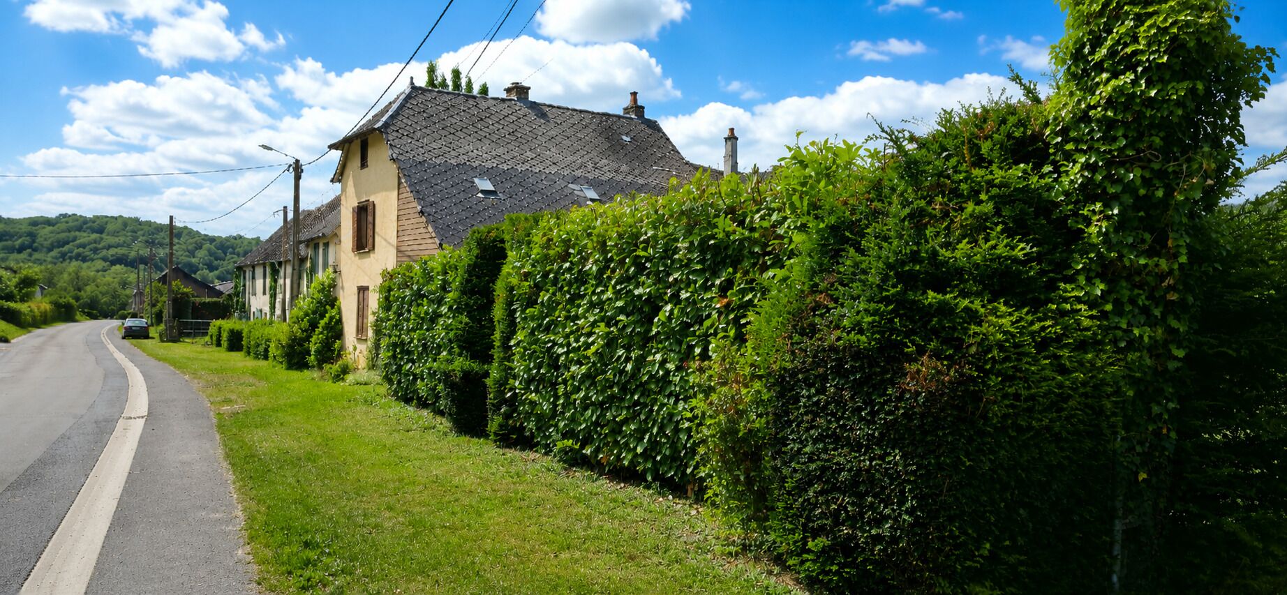 Terrein van de accommodatie