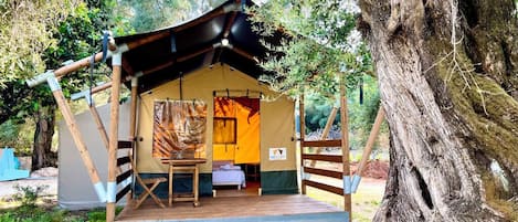 Junior tent | Gratis wifi