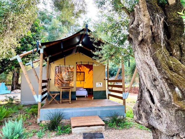 Junior Tent | Free WiFi