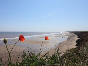 A beach with red flowers in the foreground and a clear view of the ocean. - The Old Coach House at The Vicarage (Hornsea)