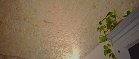 A textured ceiling with a plant on the right.