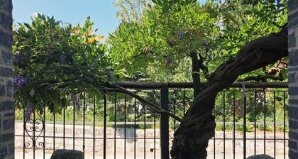 Just a few minutes from Ascona (Al Capriccio Apt.).