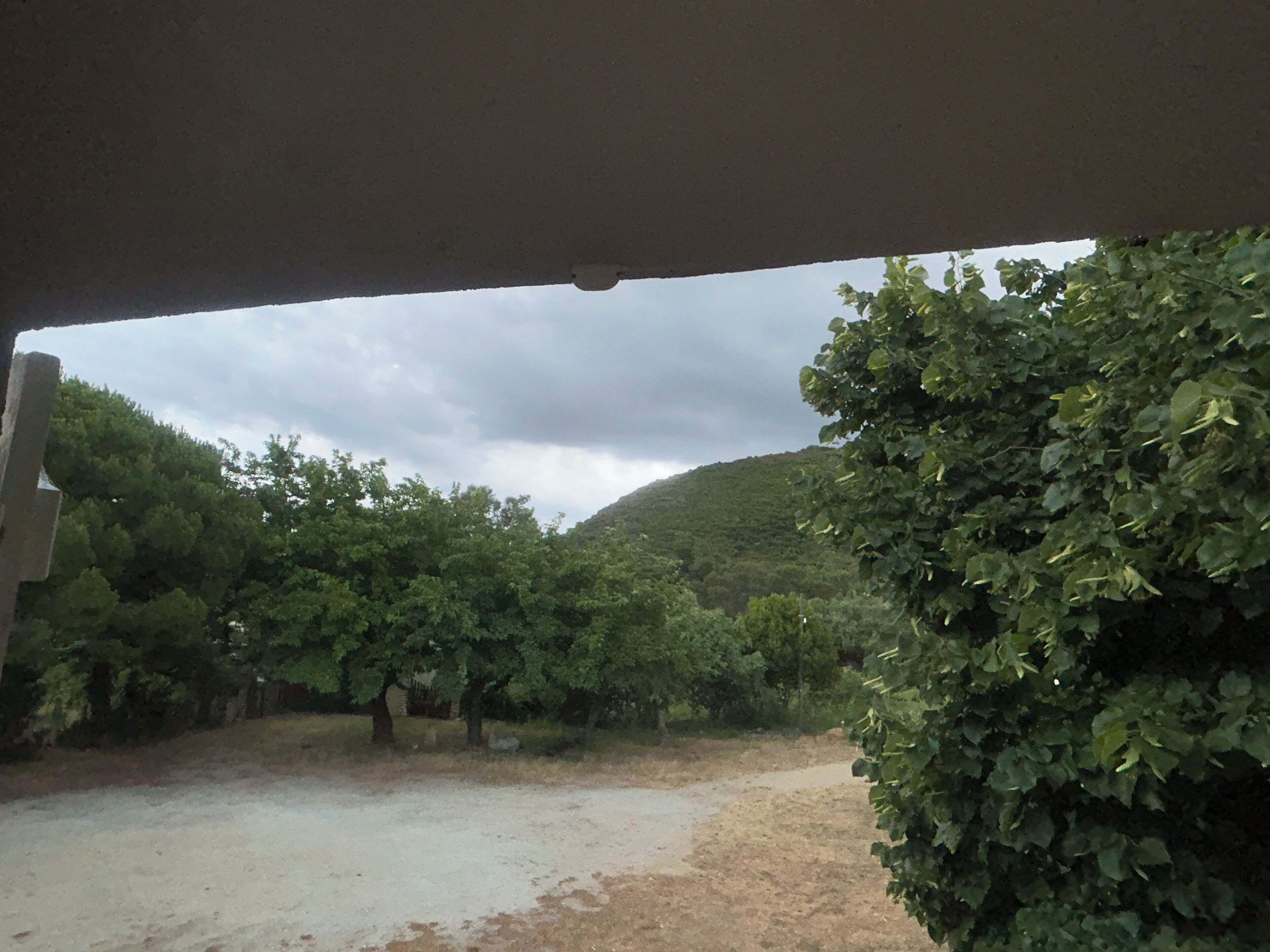 A view from inside a vehicle looking out at a dirt path surrounded by trees and a hill in the distance.