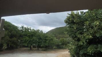 A view from inside a vehicle looking out at a dirt path surrounded by trees and a hill in the distance.