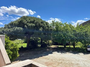 Property grounds - T3 100m from the beach, quiet, air-conditioned, Internet, Saint-Florent (Saint-Florent)