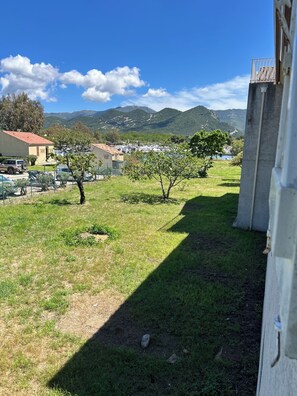 Une zone herbeuse avec des arbres, un bâtiment et des montagnes en arrière-plan.
