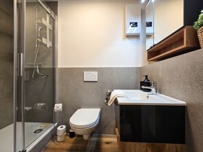 Chuveiro, secador de cabelo, toalhas de banho, papel higiênico