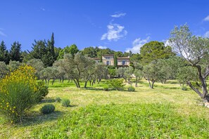 Pemandangan dari properti