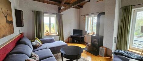 Fernseher, Kamin, DVD-Player, Bücher