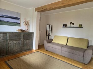 Televisión, chimenea, reproductor de DVD y libros