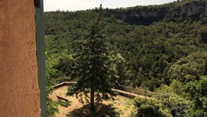 A forested valley with a wooden bridge and a bench.