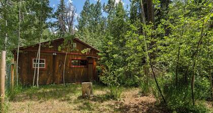 Rustic Cabin on the Pine River, Pet-Friendly, Great Fishing