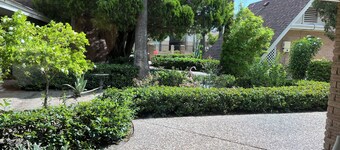 Cute, Comfy & Walkable 2/2 Condo Central McAllen