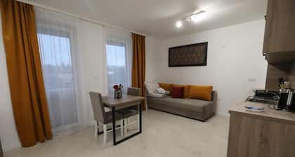 Apartamenty Kościuszki 30 Zabrze