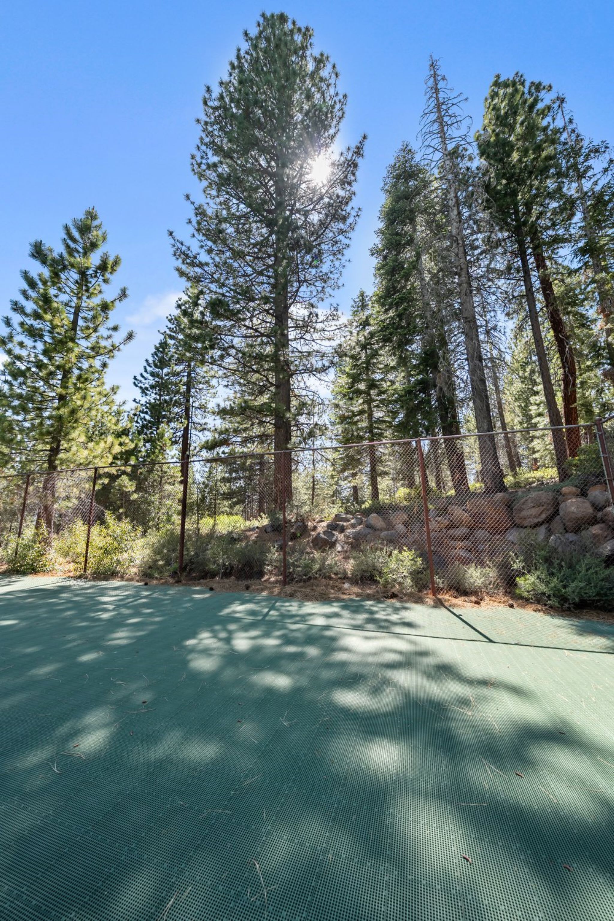 A tennis court surrounded by tall pine trees and a rocky hillside.