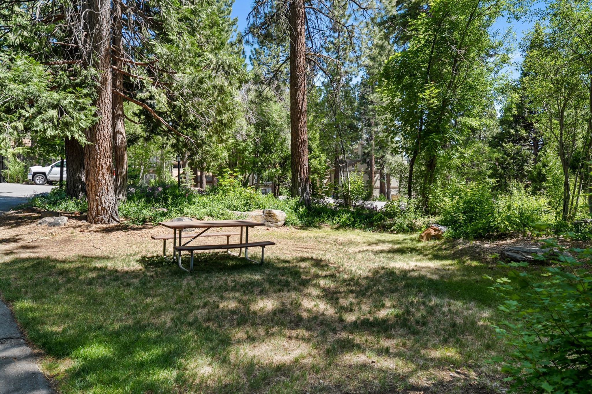 A picnic table in a wooded area with a clear sky.