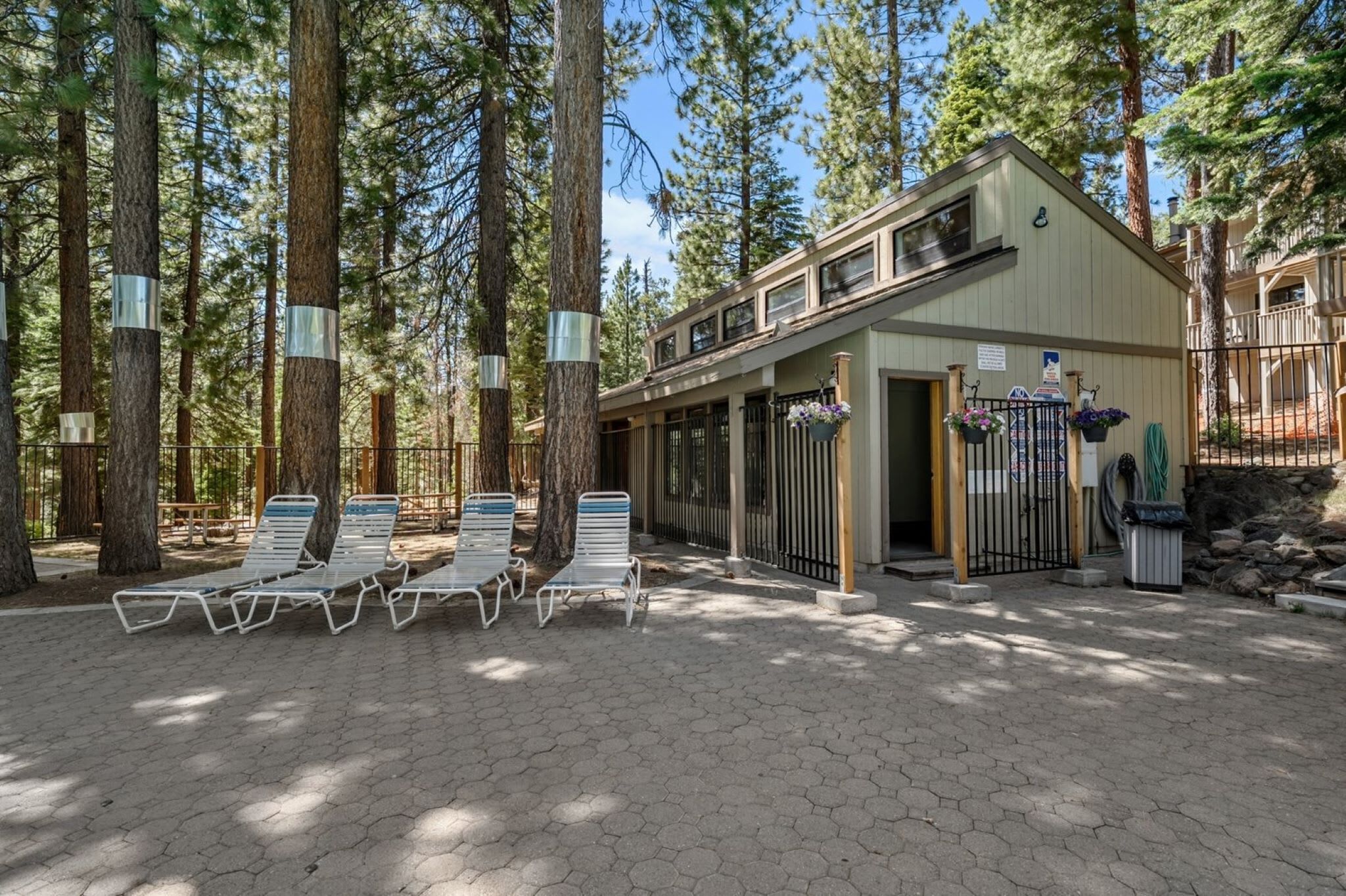 A lodge with a covered patio area, outdoor seating, and a view of tall trees.