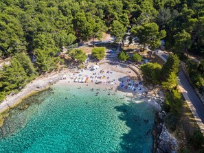 Vista aérea de una playa con aguas turquesas cristalinas, rodeada de densos pinos verdes.