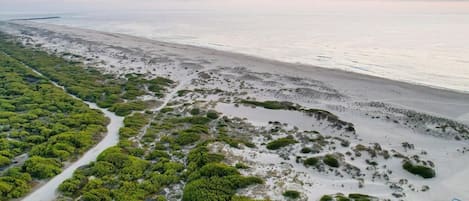 Playa