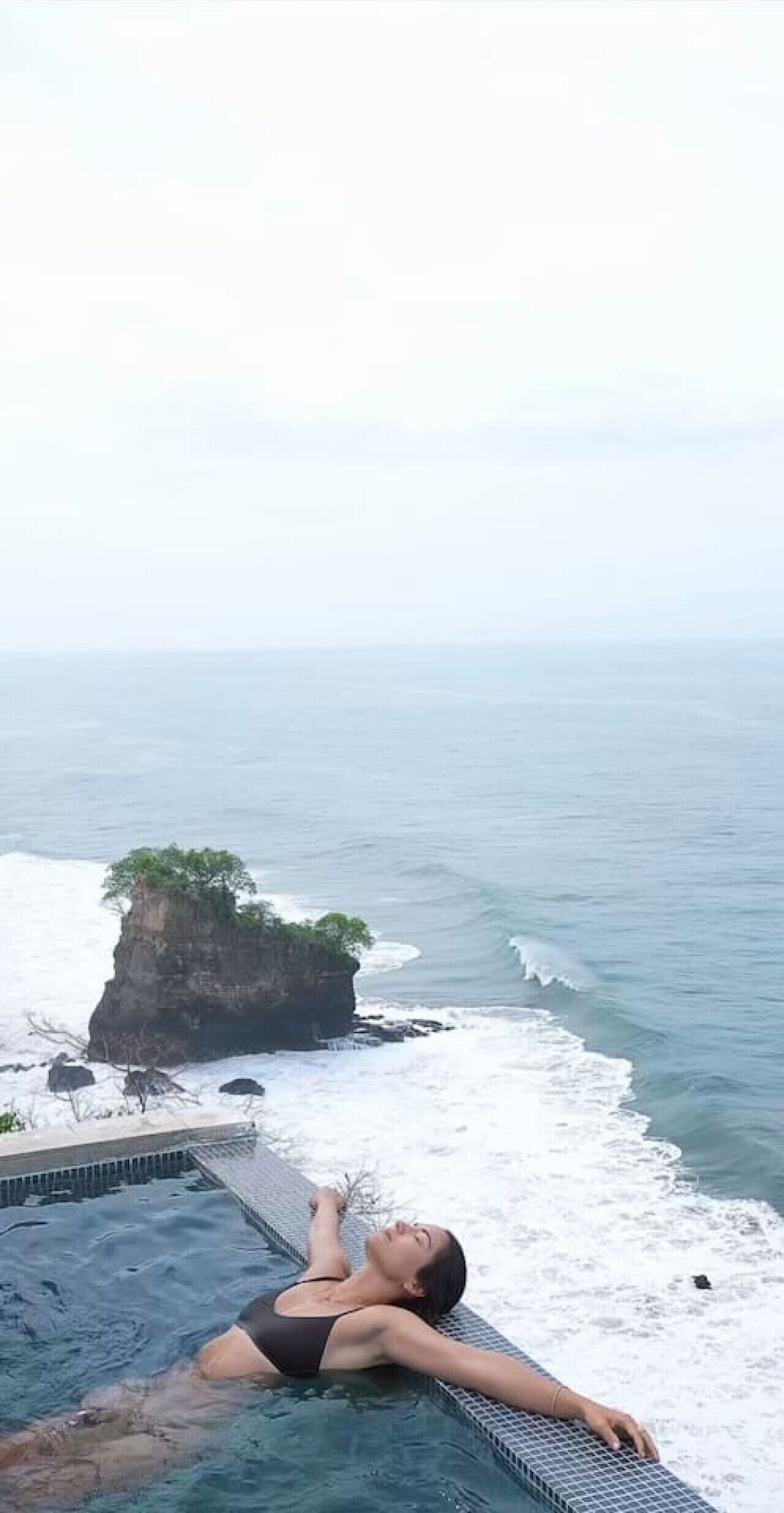 BLACK ROSE ビラ 330px-Rose_Black_Baccara_バラ_